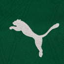 Camisa Palmeiras I 25/26 - Torcedor Masculina - Verde e Branco